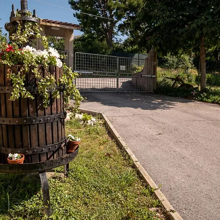 Апартаменты Cortile Nel Conero *