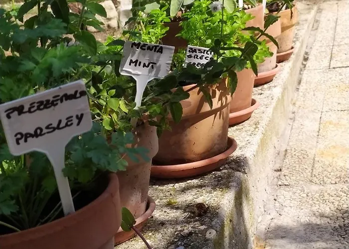 Apartamento Cortile Nel Conero Ancona