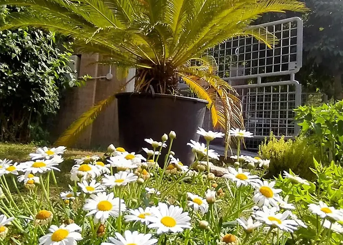 Cortile Nel Conero Apartamento