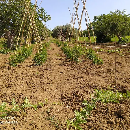 Apartman Cortile Nel Conero