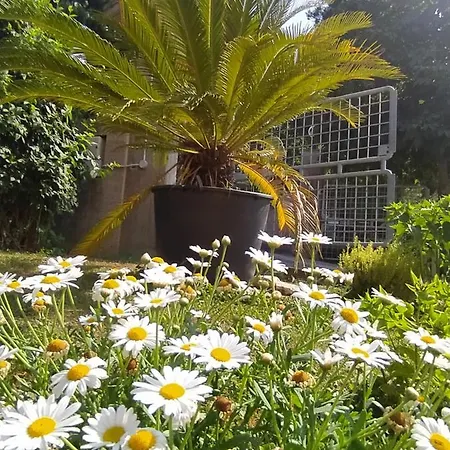 Cortile Nel Conero