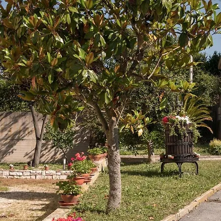 Cortile Nel Conero אנקונה