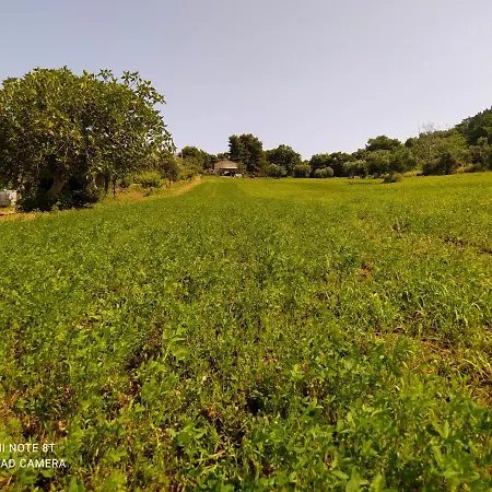 דירה Cortile Nel Conero