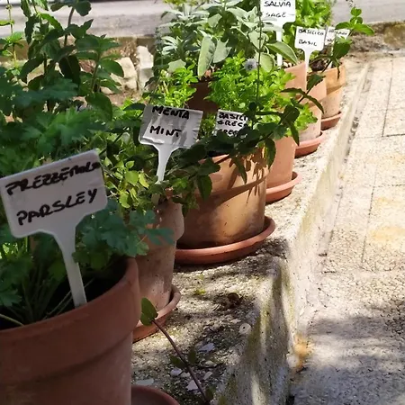 דירה Cortile Nel Conero אנקונה