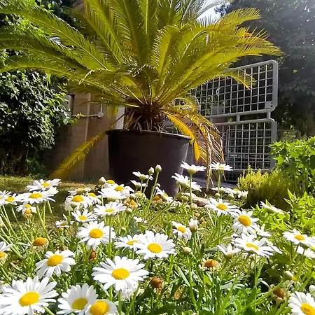 Cortile Nel Conero Apartman